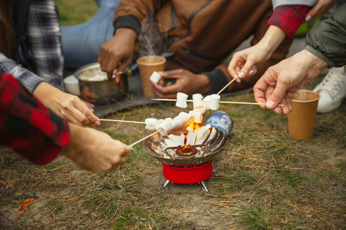 A group of friends frying marshmallows.